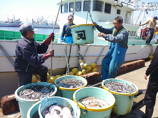 (写真)福島県における試験操業の実施