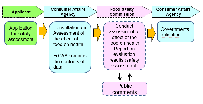 Procedure for Safety Assessment