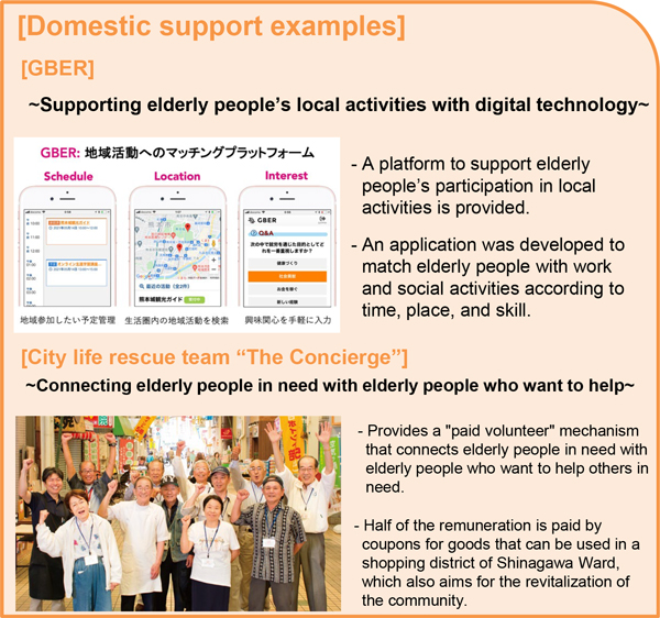 Domestic support examples