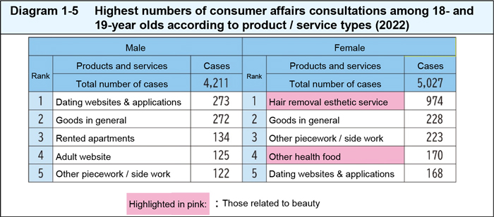 Highest numbers of consumer affairs consultations among 18- and 19-year olds according to product / service types (2022)