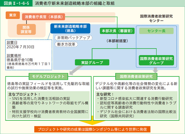 図表2-1-6-5消費者庁新未来創造戦略本部の組織と取組