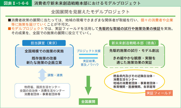図表2-1-6-6消費者庁新未来創造戦略本部におけるモデルプロジェクト