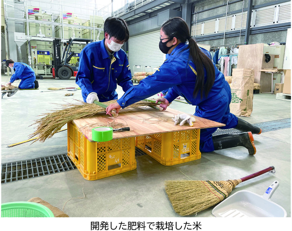 開発した肥料で栽培した米