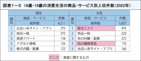 図表6 18歳・19歳の消費生活の商品・サービス別上位件数(2022年)