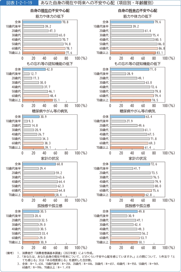 図表1-2-1-19あなた自身の現在や将来への不安や心配(項目別・年齢層別)