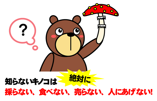 知らないキノコは絶対に採らない、食べない、売らない、人にあげない!