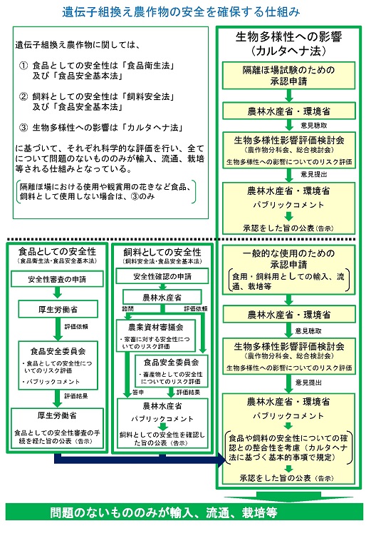 GM農作物の安全を確保する仕組み