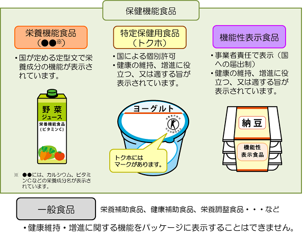 栄養機能食品は、国が定める定型文で栄養成分の機能が表示されています。特定保健用食品(トクホ)は、国による個別許可。健康の維持、増進に役立つ、又は適する旨が表示されています。機能性表示食品は、事業者責任で表示。(国への届出制)健康の維持、増進に役立つ、又は適する旨が表示されています。一般食品には健康維持・増進に関する機能をパッケージに表示することはできません。
