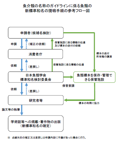 魚介類の名称のガイドラインに係る魚類の新標準和名の提唱手順の参考フロー図をし示しております。詳しくは、下記の「申請・問合せ窓口」にお問い合わせください。