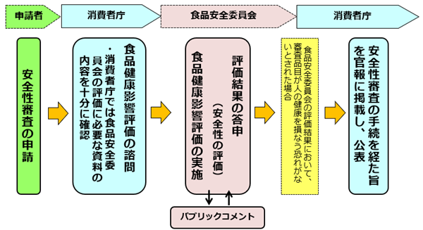 安全性審査の流れ